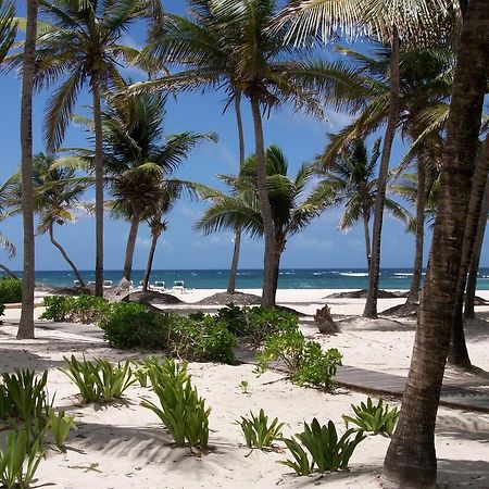 Hibiscus Beach Resort Christiansted Exterior photo