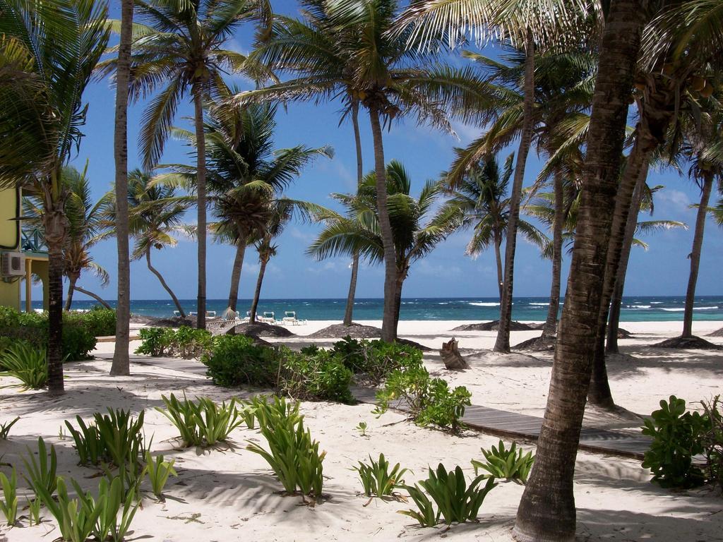 Hibiscus Beach Resort Christiansted Exterior photo