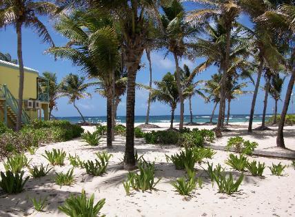 Hibiscus Beach Resort Christiansted Exterior photo